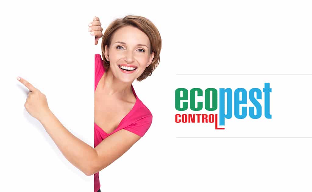Ecopest Control thuốc diệt côn trùng
