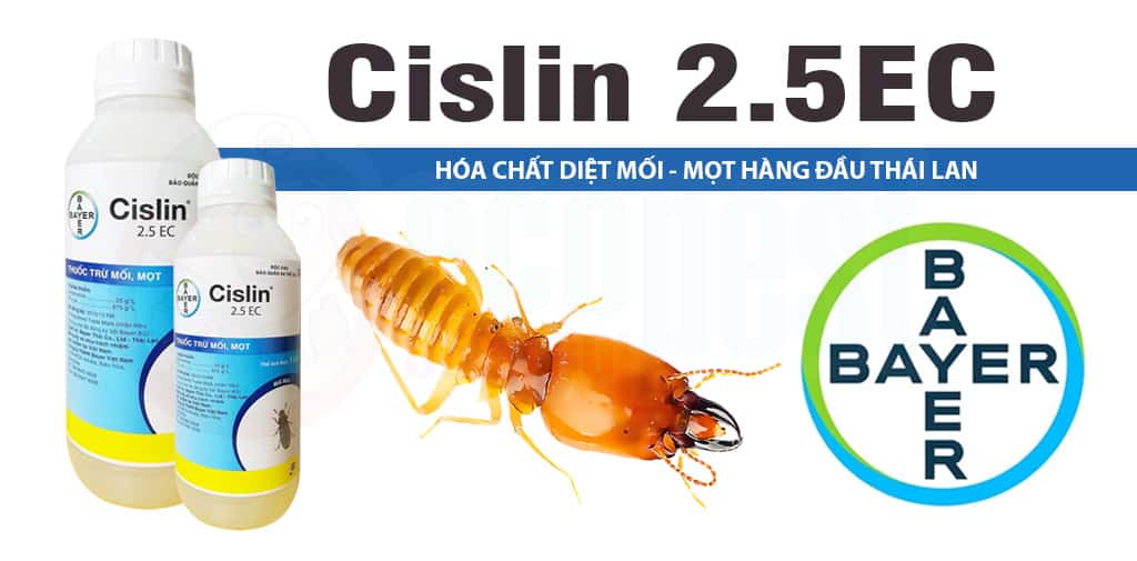 Thuốc diệt mối mọt Cislin 2.5EC Bayer Thái Lan