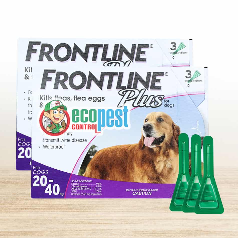 Frontline Plus thuốc nhỏ gáy trị ve rận bọ chét chó 20kg đến 40kg
