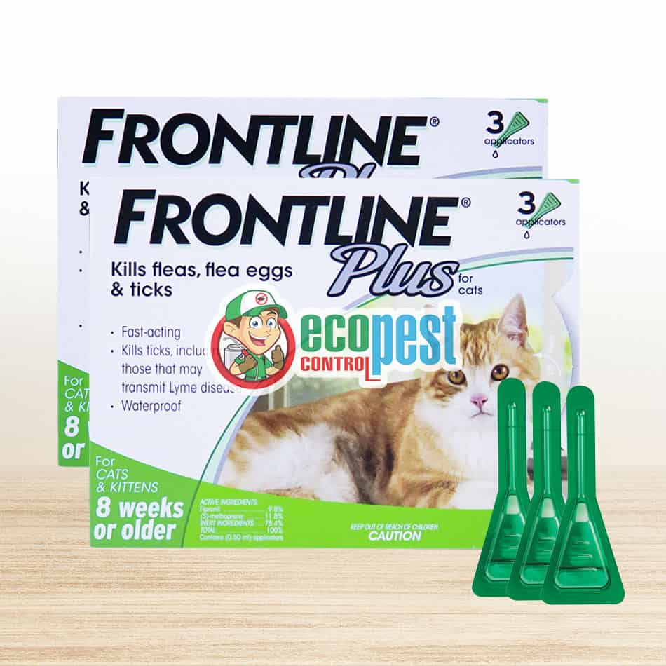 Frontline Plus thuốc nhỏ gáy trị ve rận cho mèo