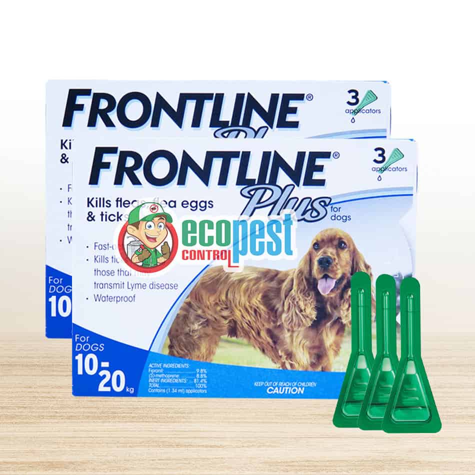 Frontline Plus thuốc trị ve rận bọ chét chó 10kg đến 20kg