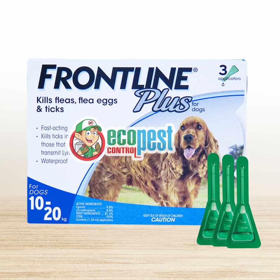 Frontline Plus trị ve rận bọ chét chó 10kg đến 20kg