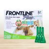 Frontline Plus trị ve rận bọ chét cho mèo