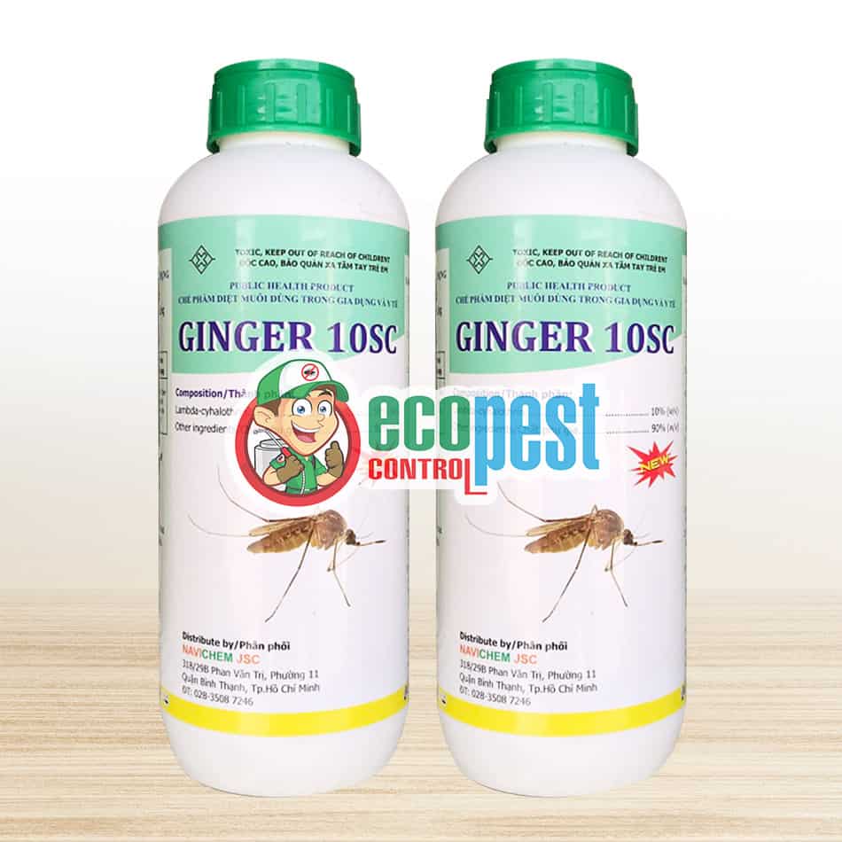 Ginger 10SC thuốc diệt muỗi Ấn Độ