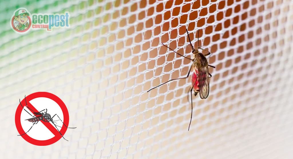 Sử dụng màn giúp xua đuổi muỗi và chống muỗi
