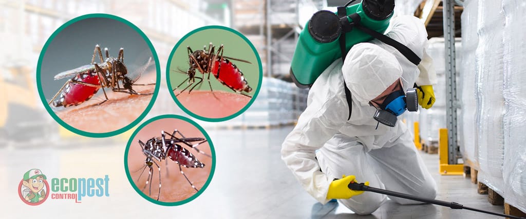 Phun thuốc diệt muỗi và côn trùng tại nhà an toàn, hiệu quả, không độc hại