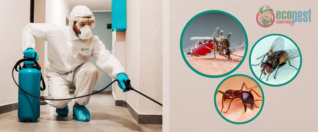 Thuốc diệt côn trùng an toàn, hiệu quả, không độc hại đến sức khỏe