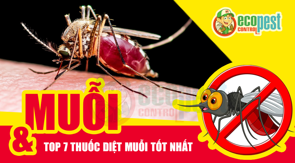 Muỗi và TOP 7 thuốc diệt trừ muỗi an toàn, hiệu quả nhất