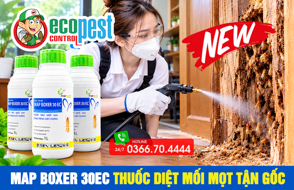 Thuốc diệt mối mọt Map Boxer 30EC chính hãng